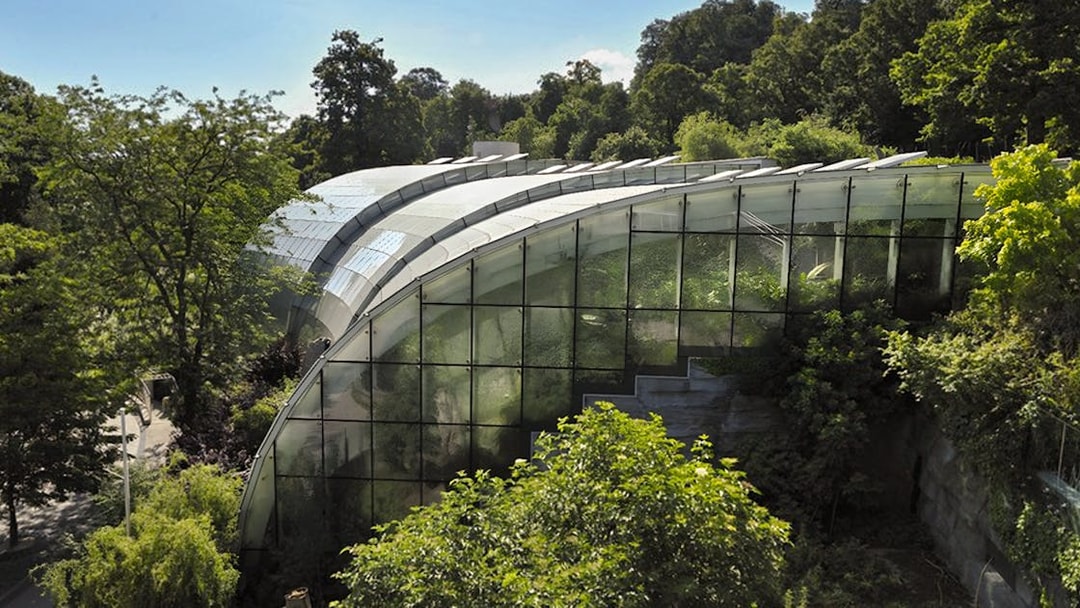 Rainforest Habitat glass structure surrounded by trees at Schönbrunn Zoo.
