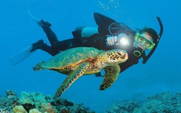 Scuba Diving and Snorkeling Trip in Side Image 1