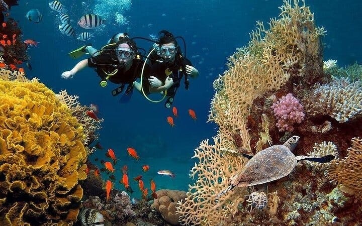 Scuba Diving and Snorkeling Trip in Side Image 2