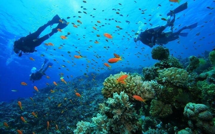 Scuba Diving and Snorkeling Trip in Side Image 6