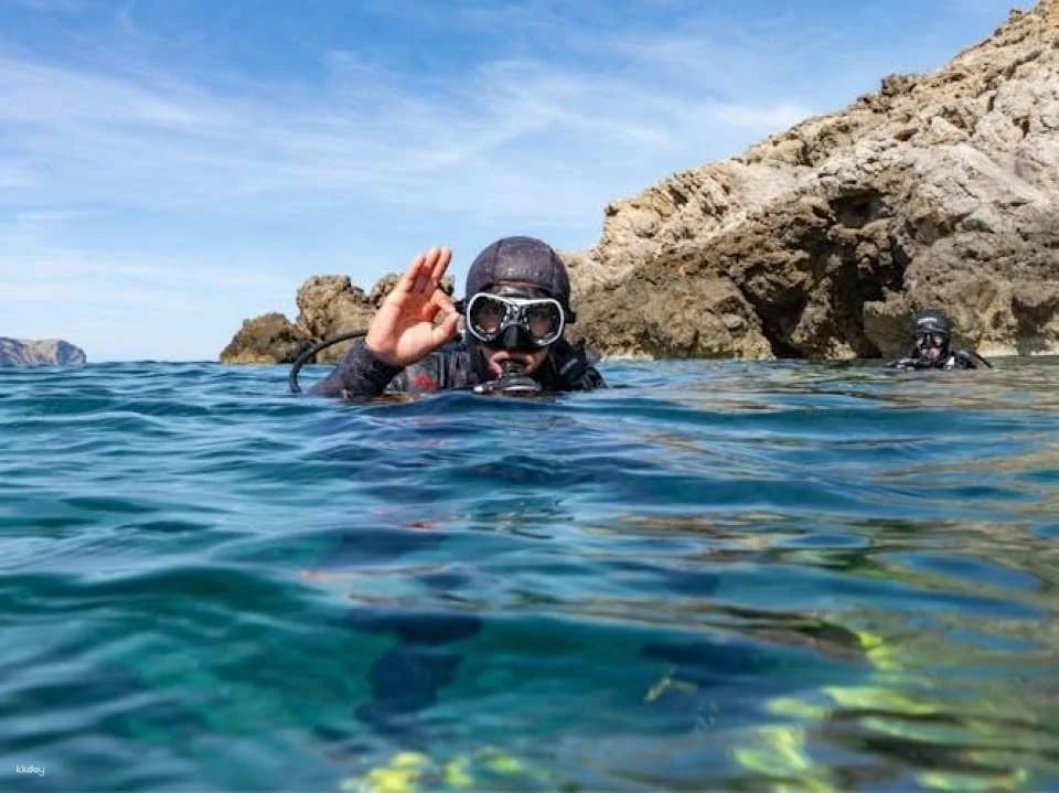 Scuba tour with one dive from Bonaire Harbour for certified divers