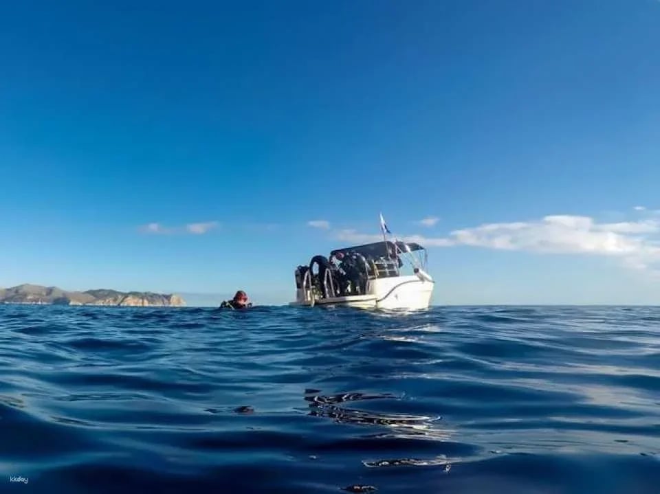 Scuba tour with one dive from Bonaire Harbour for certified divers