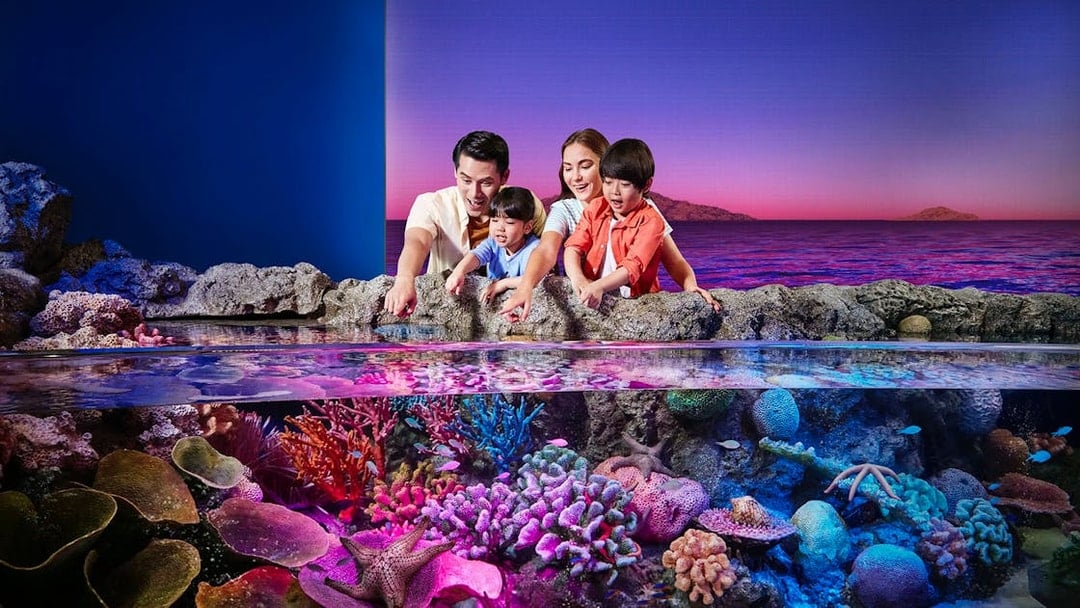 Combo: SEA LIFE Bangkok + Madame Tussauds Bangkok Tickets