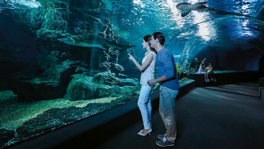 SEA LIFE Bangkok Tickets