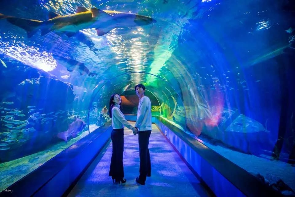Sea Life Busan Aquarium Tickets | Korea