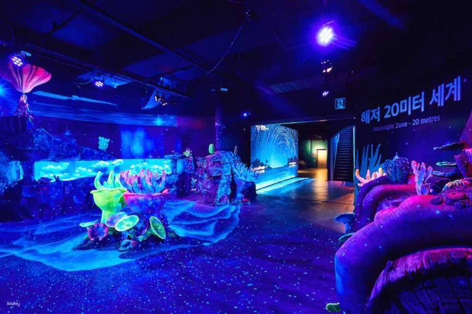 Sea Life Busan Aquarium Tickets | Korea