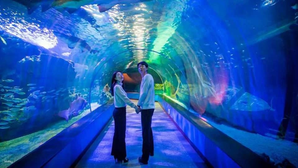 Sea Life Busan Aquarium Tickets | Korea