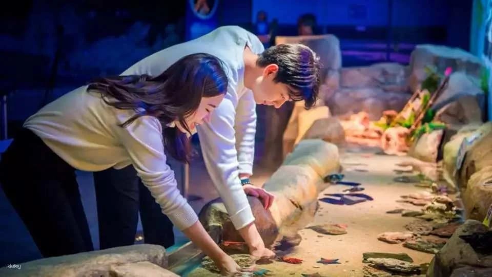Sea Life Busan Aquarium Tickets | Korea