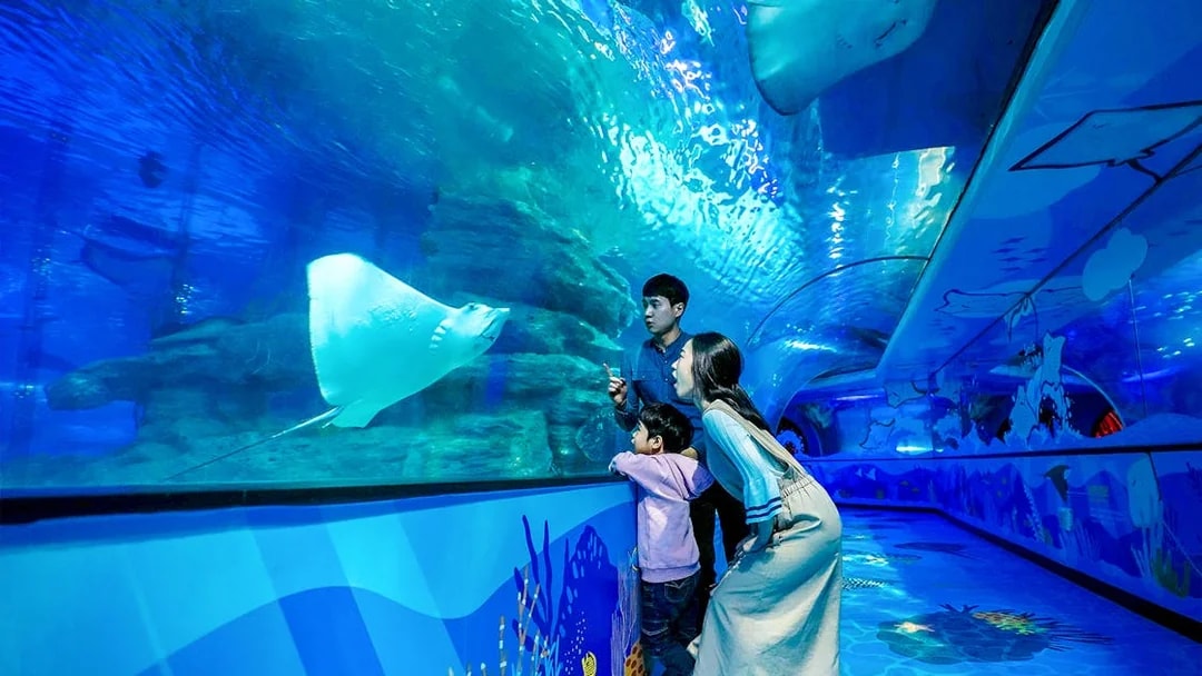 Family observing stingray at SEA LIFE Busan Aquarium tunnel.