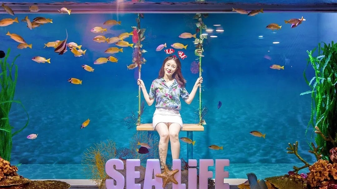 SEA LIFE Aquarium Busan Entry Tickets with Lotte Voucher