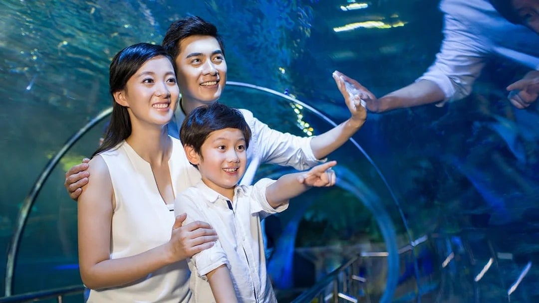 SEA LIFE COEX, Seoul Aquarium Tickets