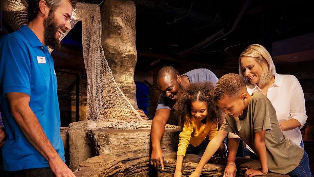 Visitors exploring touch pool at SEA LIFE London with guide.