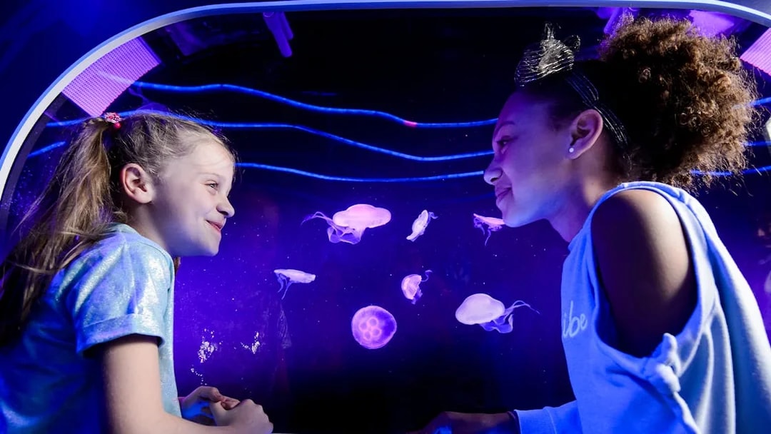 Children observing jellyfish at SEA LIFE London.