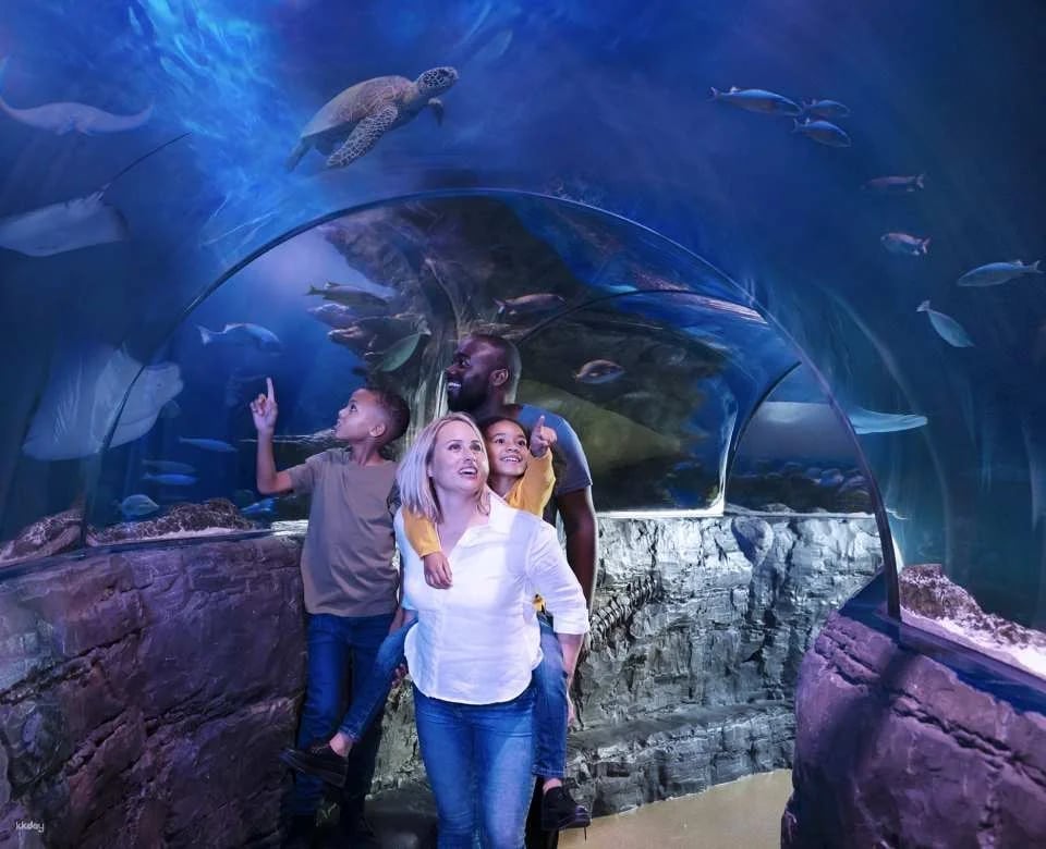SEA LIFE London Aquarium Ticket - London