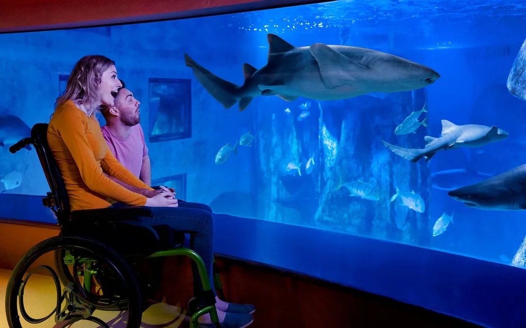 SEA LIFE London Aquarium: Standard Admission Tickets Image 6