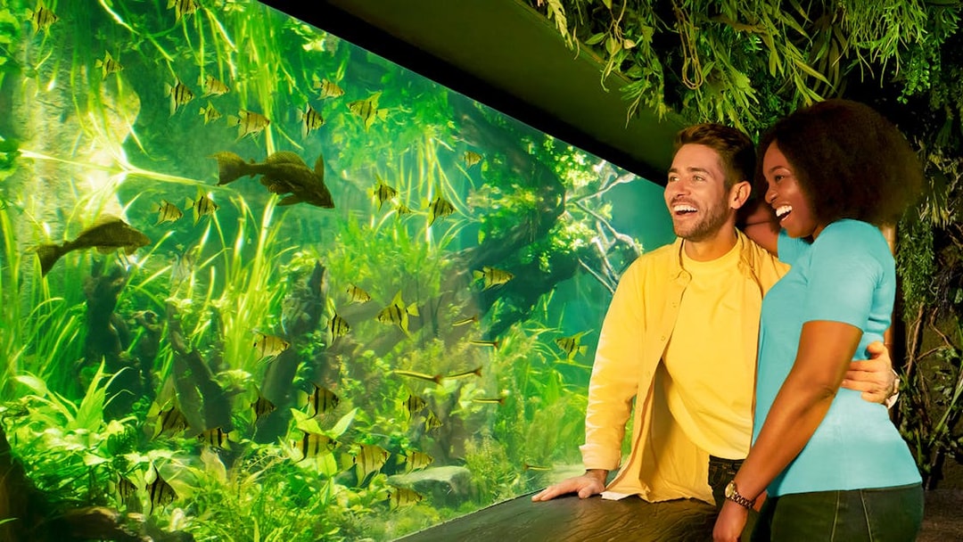 Couple enjoying SEA LIFE Aquarium in London with vibrant fish display.