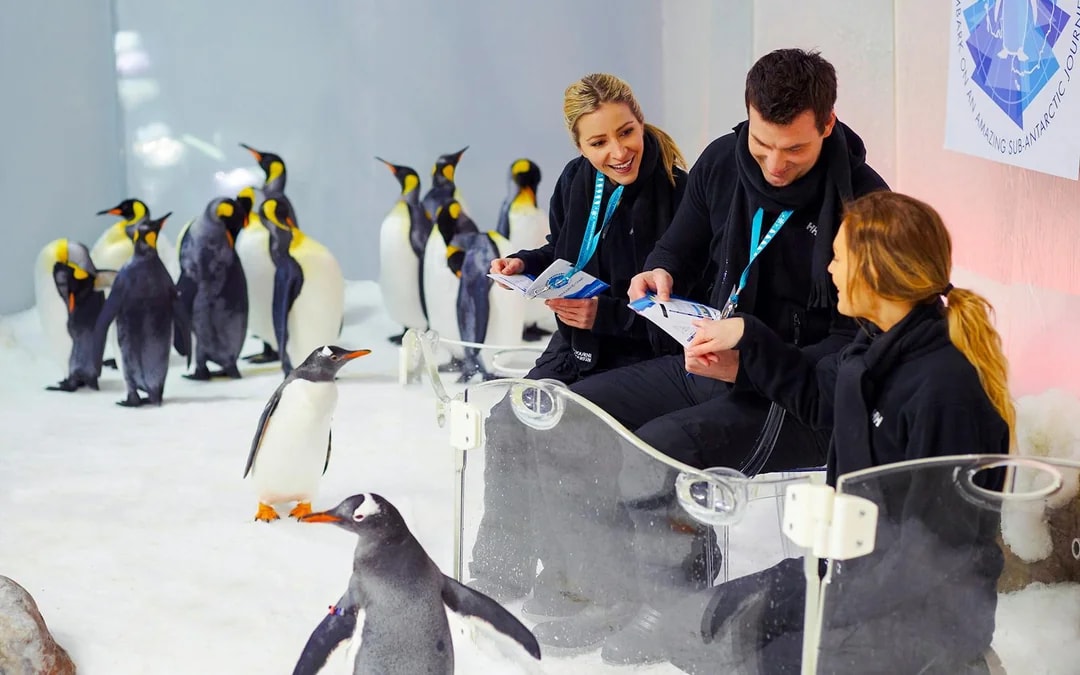 SEA LIFE Melbourne Aquarium Tickets Image 5