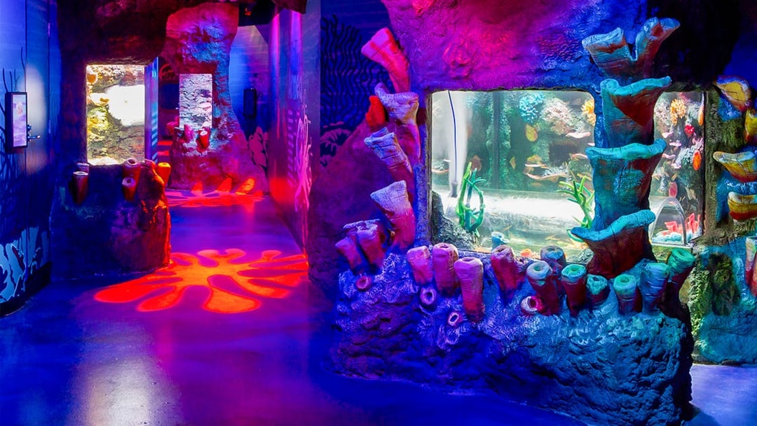 Colorful coral displays and aquarium tanks at SEA LIFE Melbourne.