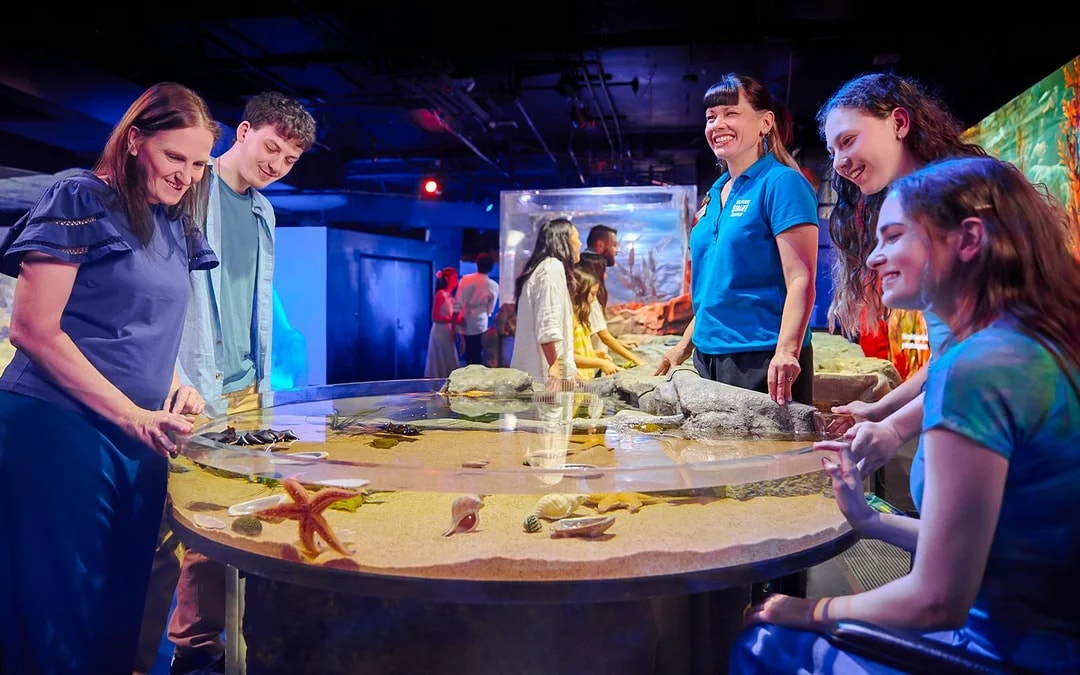 SEA LIFE Melbourne Aquarium Tickets Image 9