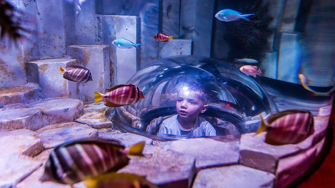 Child observing colorful fish through a dome at SEA LIFE Melbourne.