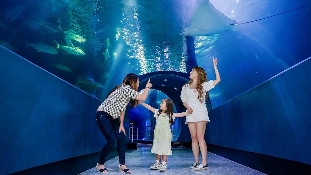 Visitors admire marine life in the tunnel at SEA LIFE Melbourne.