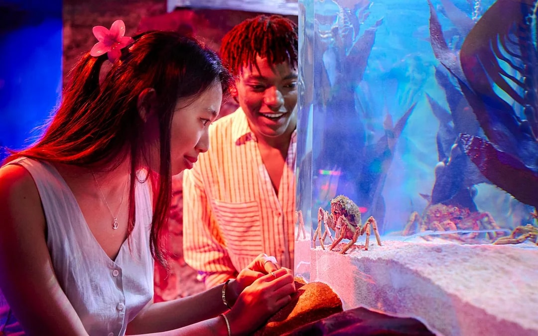 SEA LIFE Melbourne Aquarium Tickets Image 11