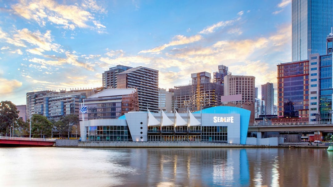 SEA LIFE Melbourne Aquarium exterior by the river with city skyline.