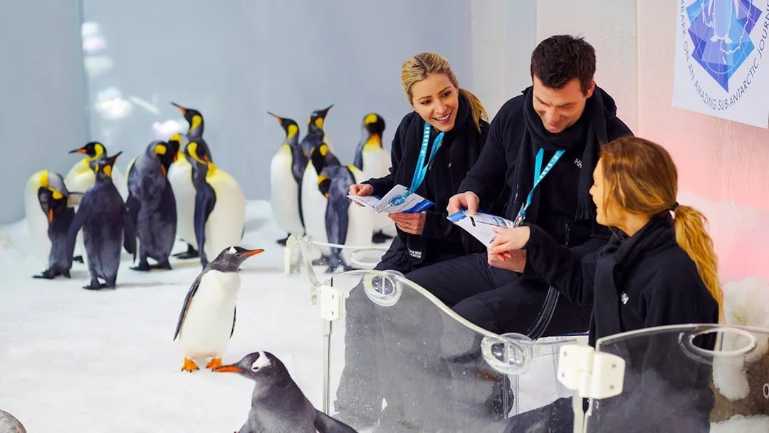 Penguins interacting with visitors at SEA LIFE Melbourne.