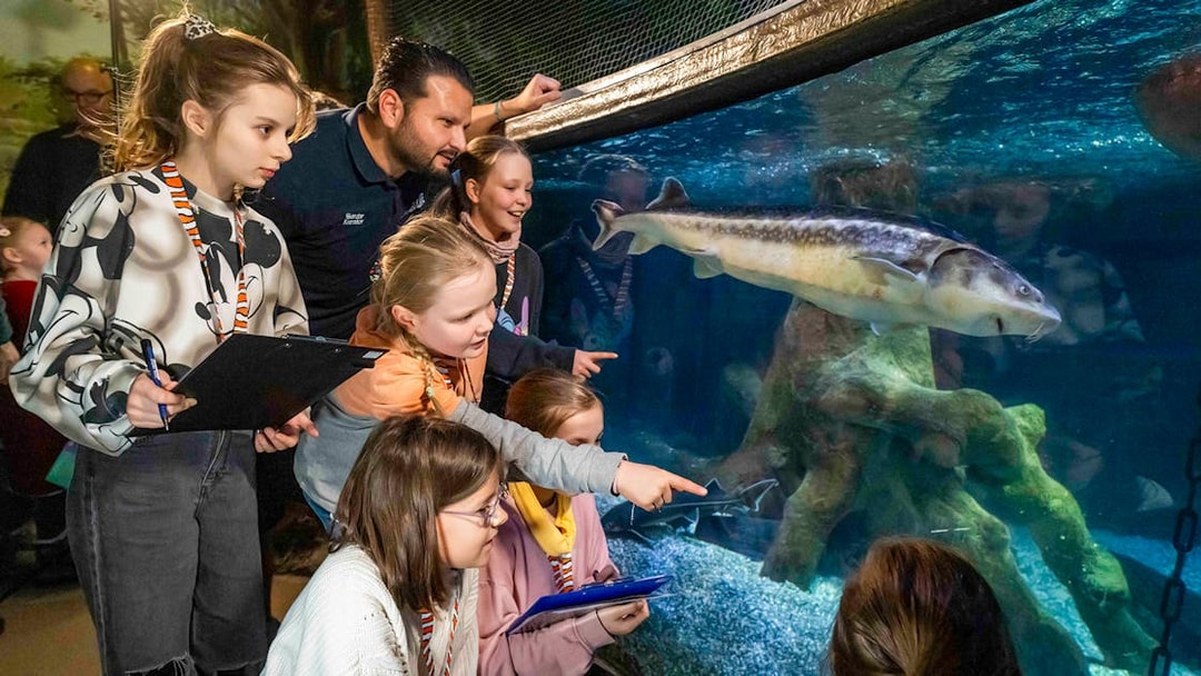 Children observing fish in the Tropical Ocean zone at SEA LIFE Munich.