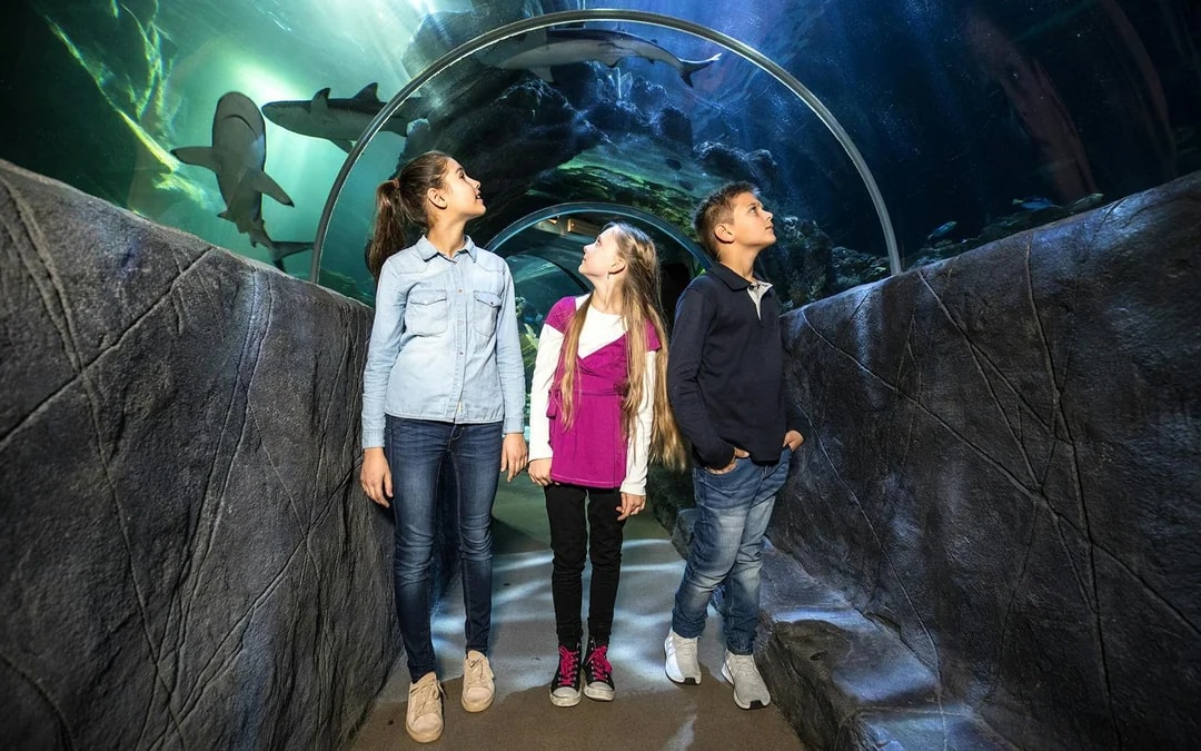 SEA LIFE Munich Ticket Image 1