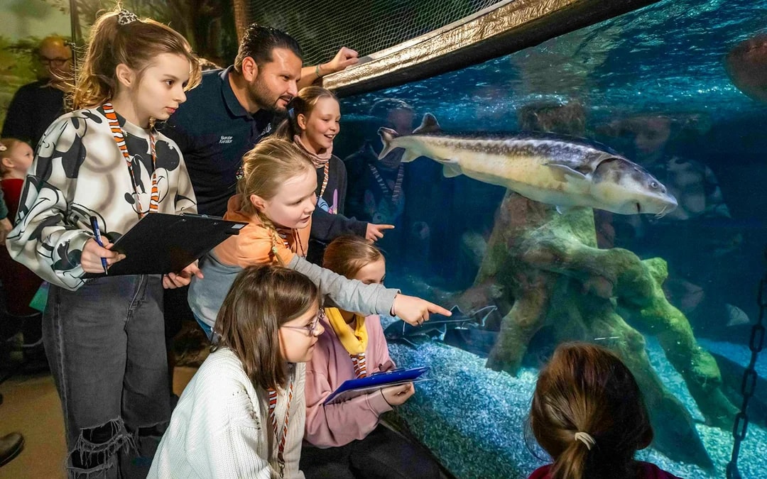SEA LIFE Munich Ticket Image 11