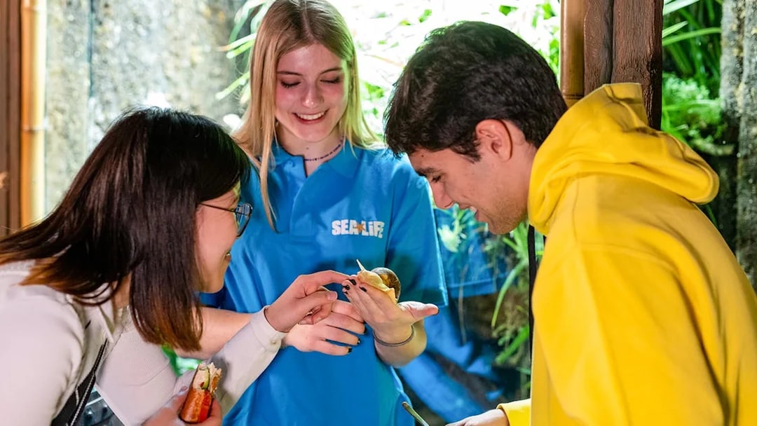 Visitors interacting with a snail at the Tropical Island zone, SEA LIFE Munich.