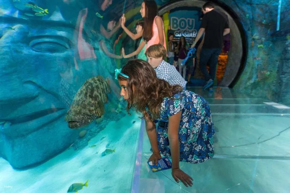 Sea Life Orlando Aquarium Ticket | Florida