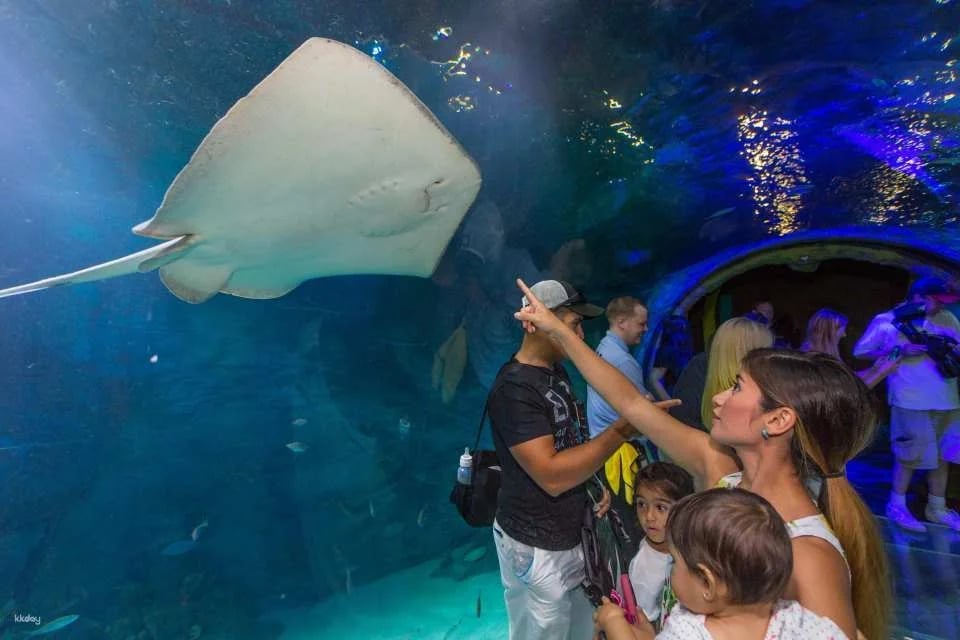 Sea Life Orlando Aquarium Ticket | Florida