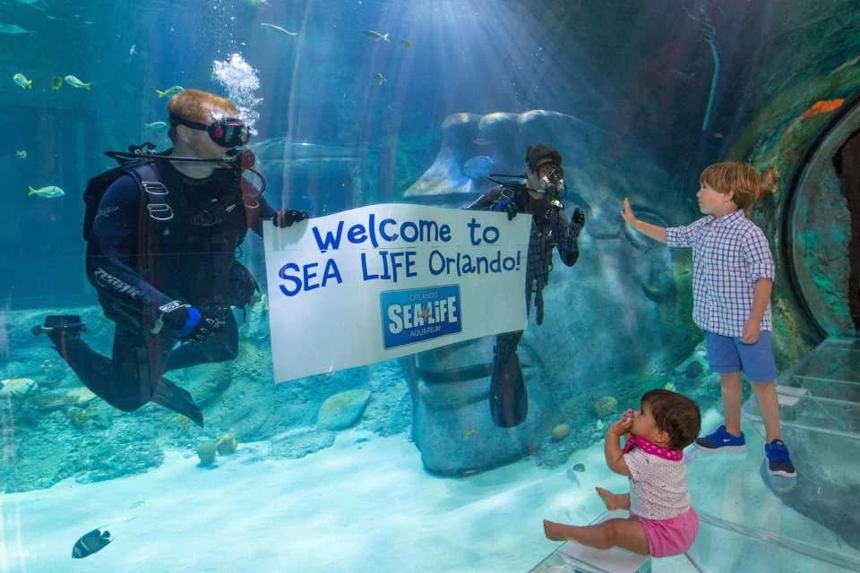 Sea Life Orlando Aquarium Ticket | Florida