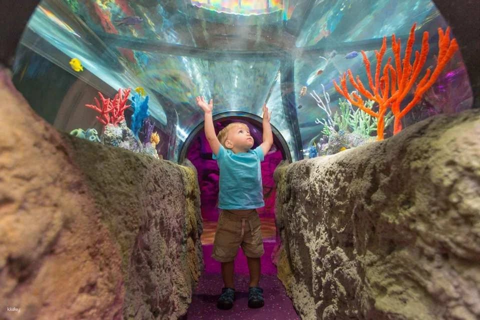 Sea Life Orlando Aquarium Ticket | Florida