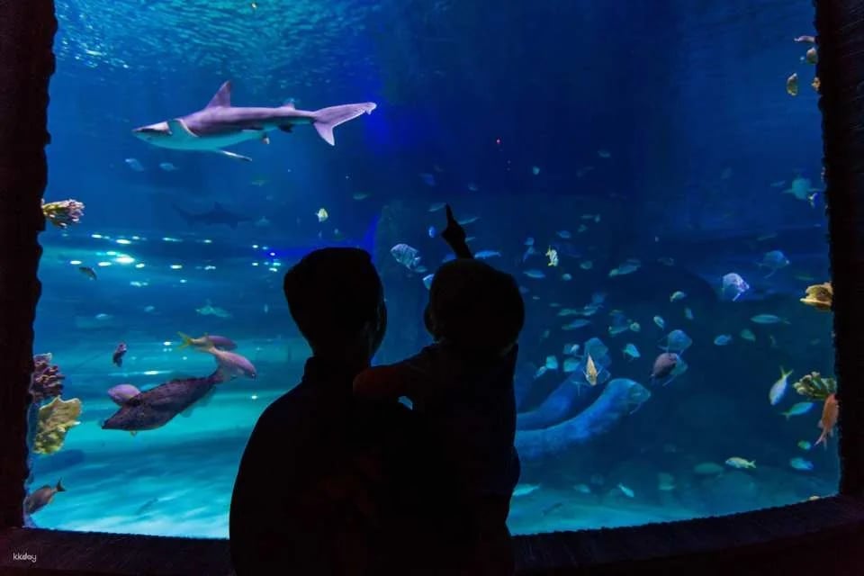 Sea Life Orlando Aquarium Ticket | Florida