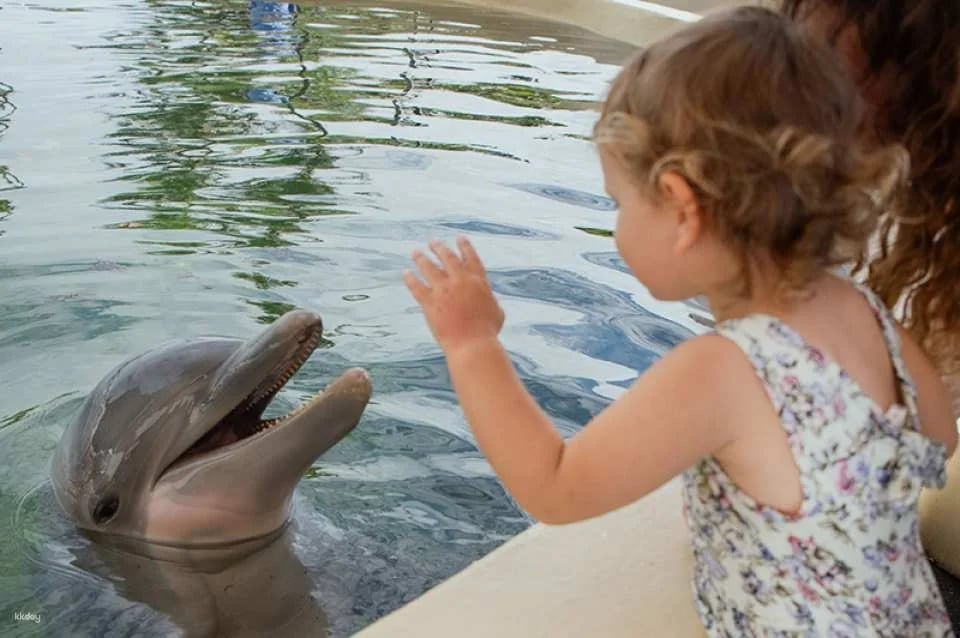 Sea Life Park Ticket with Dolphin Aloha Experience - Hawaii