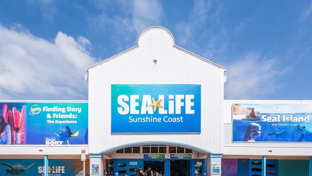 Entrance to SEA LIFE Sunshine Coast with promotional banners for exhibits.