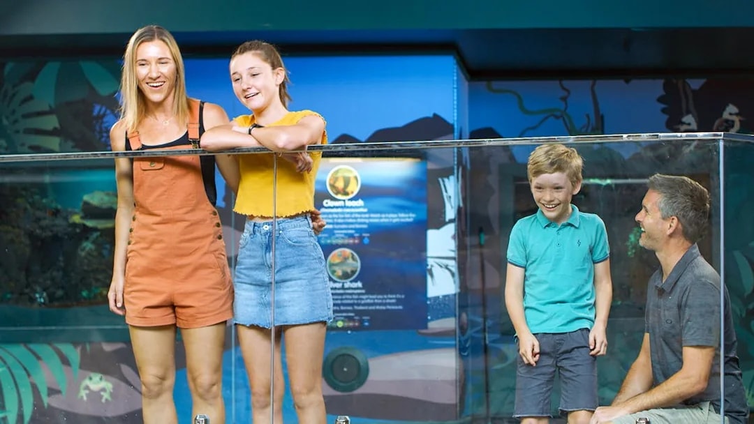Visitors enjoying the aquarium exhibit at SEA LIFE Sunshine Coast.