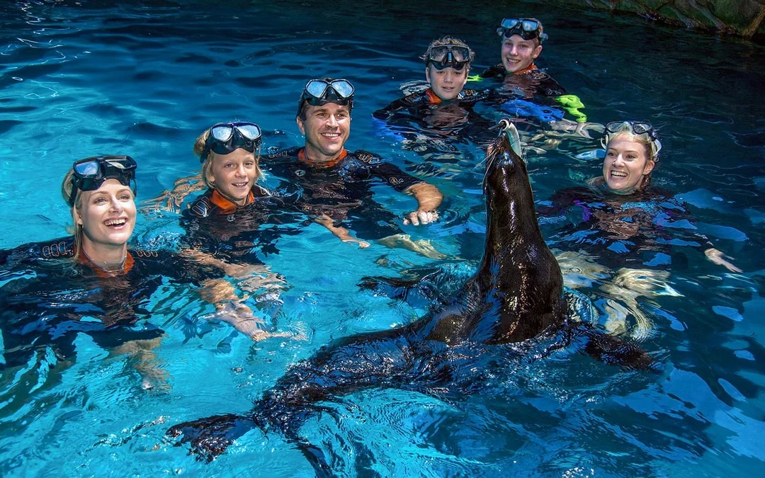 SEA LIFE Sunshine Coast Aquarium Tickets Image 10