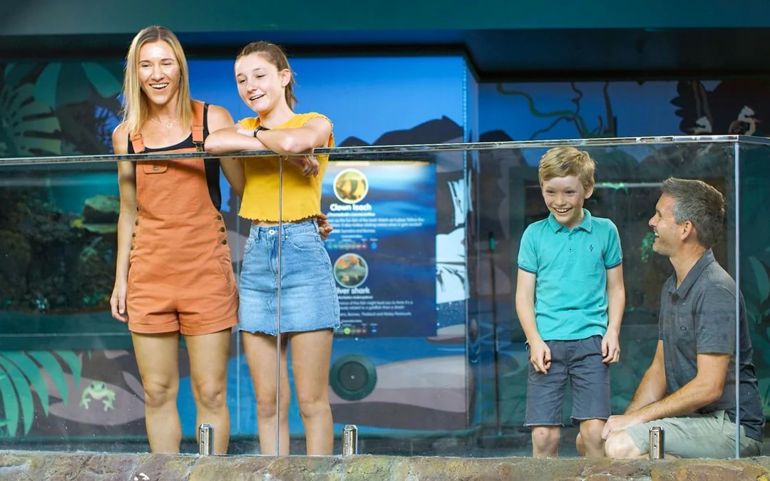 SEA LIFE Sunshine Coast Aquarium Tickets Image 11