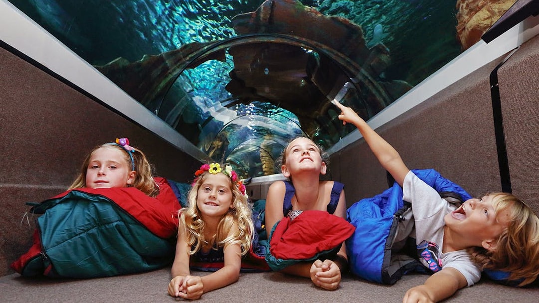 Children enjoying the underwater tunnel at SEA LIFE Sunshine Coast.