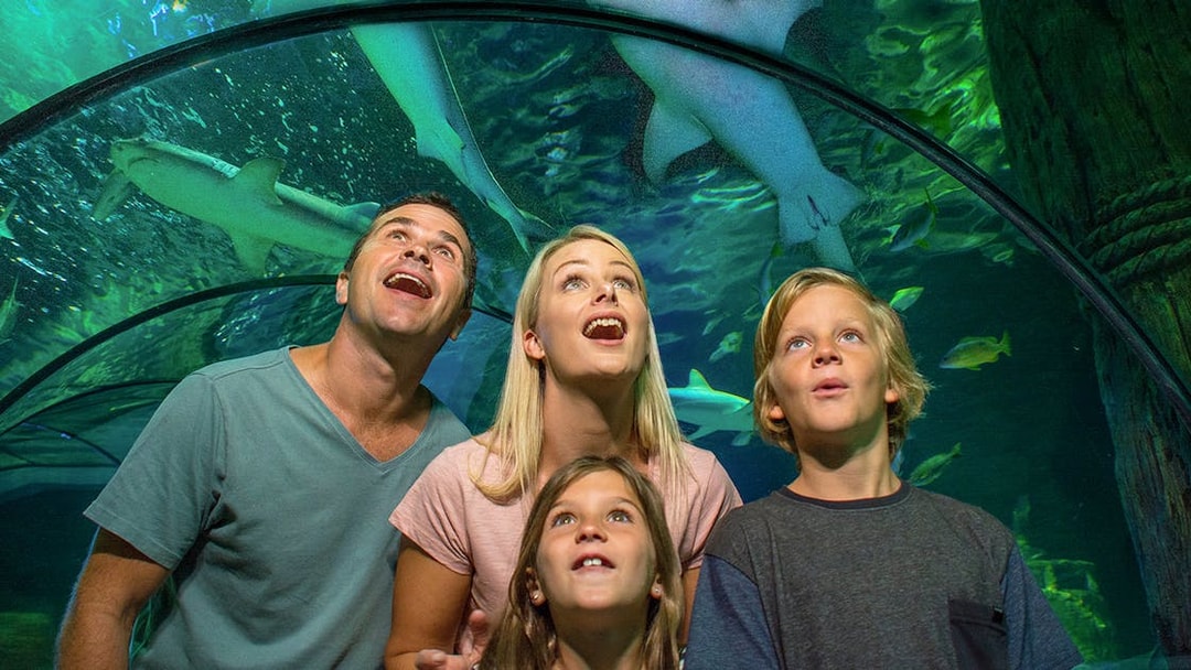 A family at SEA LIFE Sunshine Coast