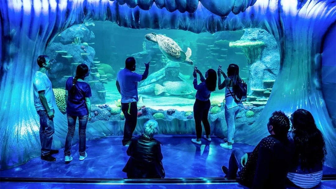 SEA LIFE Sydney Aquarium Tickets
