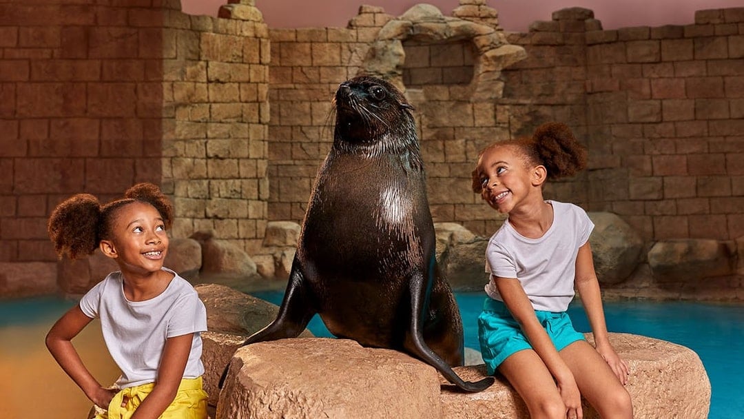 Twin girls sitting with a sea lion at Aquaventure Waterpark.