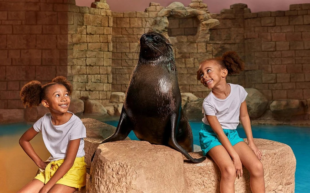 Sea Lion Encounter with Aquaventure Waterpark Tickets Image 1