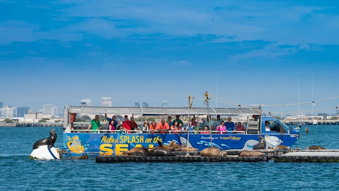 Tourists on San Diego SEAL Tour boat watching sea lions on floating platform.