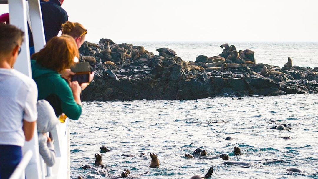 Tourists on a boat watching seals on rocks during a cruise at Phillip Island.