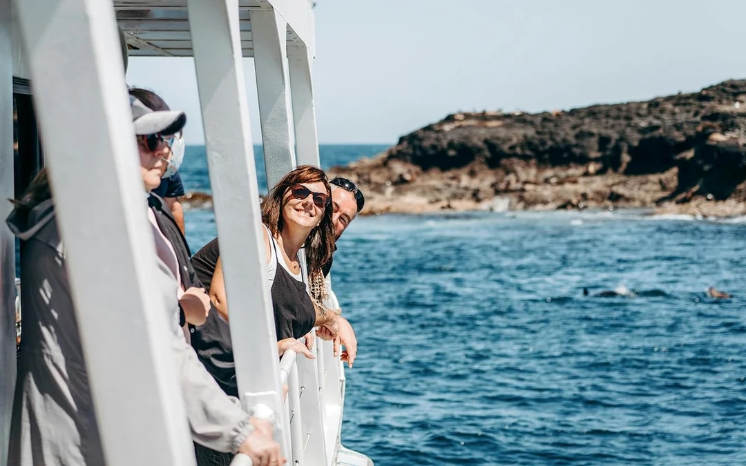 Seal Watching Afternoon Cruise at Phillip Island Image 9